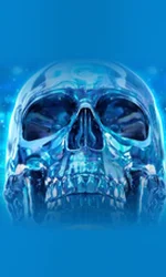 Crystal Skull