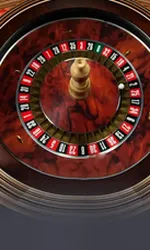 Auto Roulette VIP